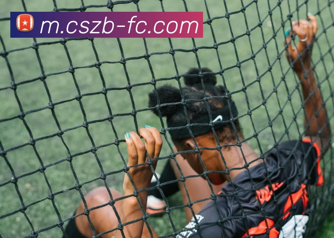 彩神争霸平台生态图